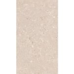 CORAL CALIZA 25X44,3X0,7