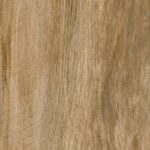 SAVANNAH HONEY 20X120